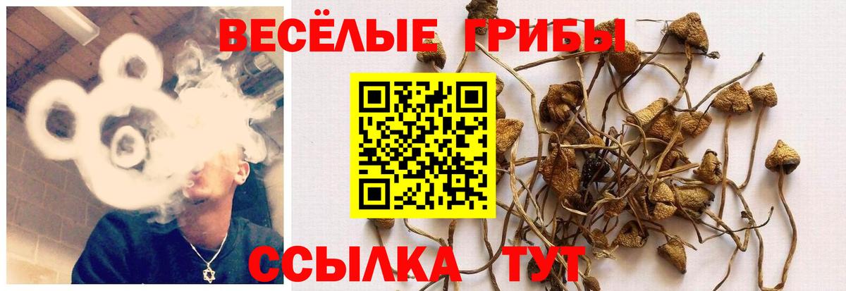 Галлюциногенные грибы прущие грибы  Вход с VPN  Первоуральск 